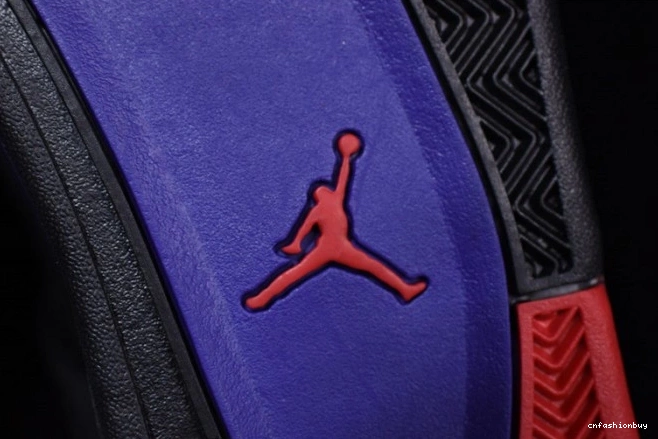 Jordan 4 Air Retro Raptors
